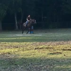 Meet your Posher, Richard